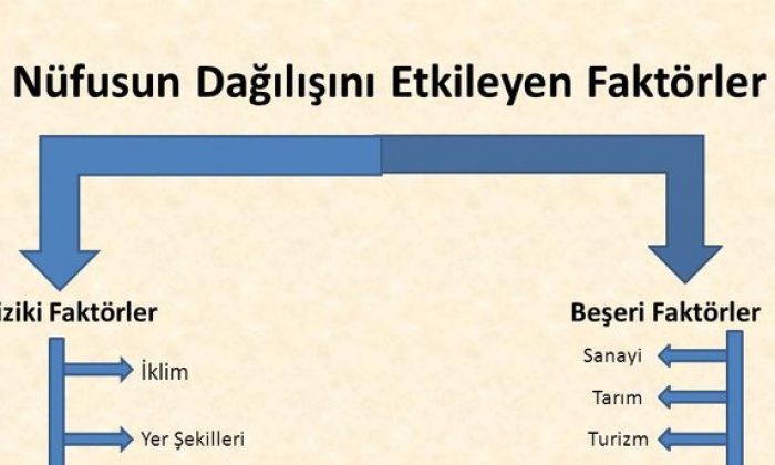 ulkemizde nufusun dagilisini etkileyen beseri faktorler hangileridir