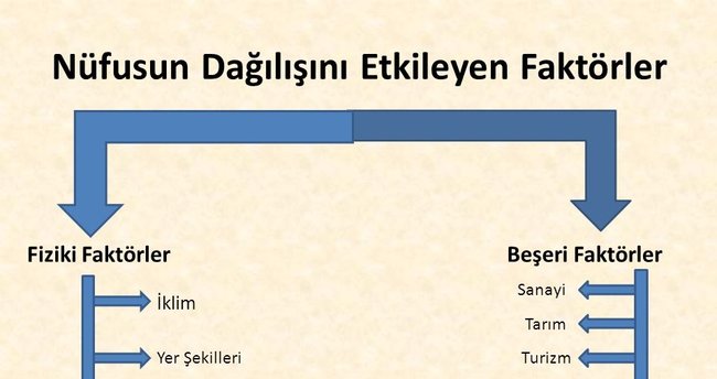 Ulkemizde Nufusun Dagilisini Etkileyen Beseri Faktorler Hangileridir